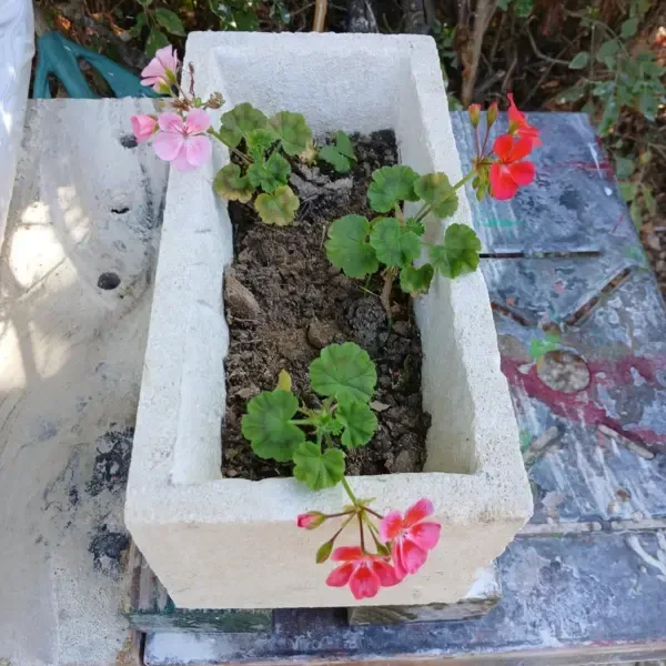 Jardinière sans les fleurs
